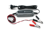 Lawn Mower Battery Charger
